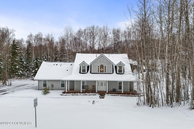 cape cod-style house with a porch