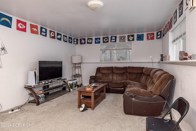 800 W Spruce Ave, Wasilla, AK 99654 - photo 19