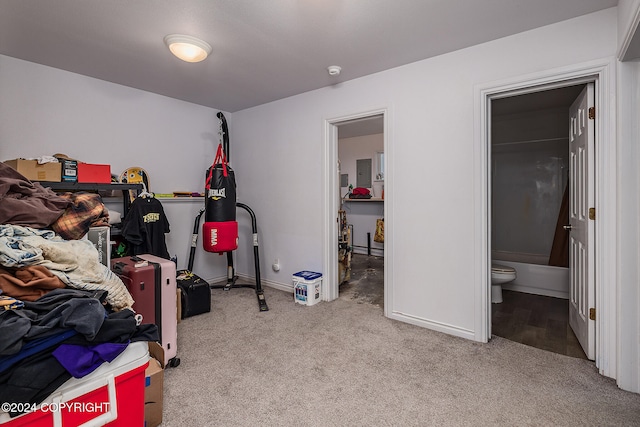 bedroom featuring electric panel, ensuite bath, and light colored carpet