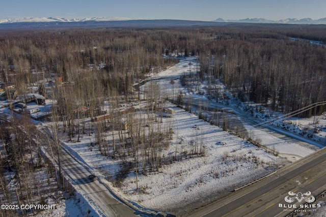 24350 W Pool Dr, Willow AK, 99688 land for sale