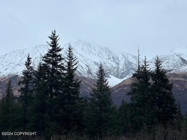 view of mountain feature