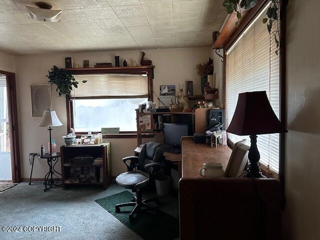 view of carpeted home office