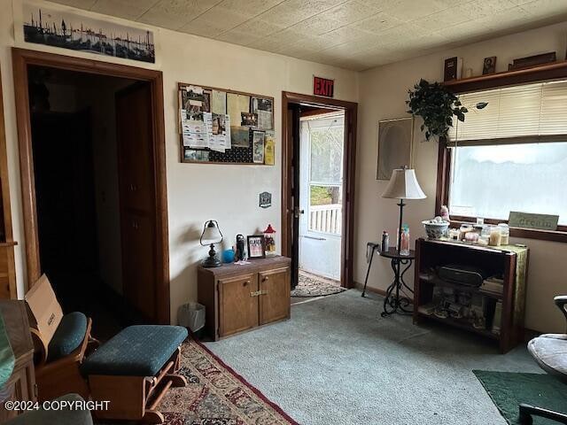 living area featuring light colored carpet