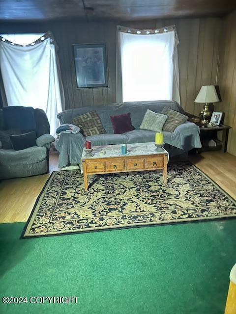 living room featuring hardwood / wood-style floors