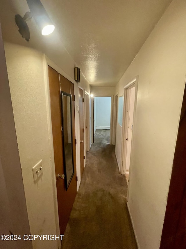 4312 E 6th Ave, Anchorage, AK 99508 - hallway with dark colored carpet and baseboards