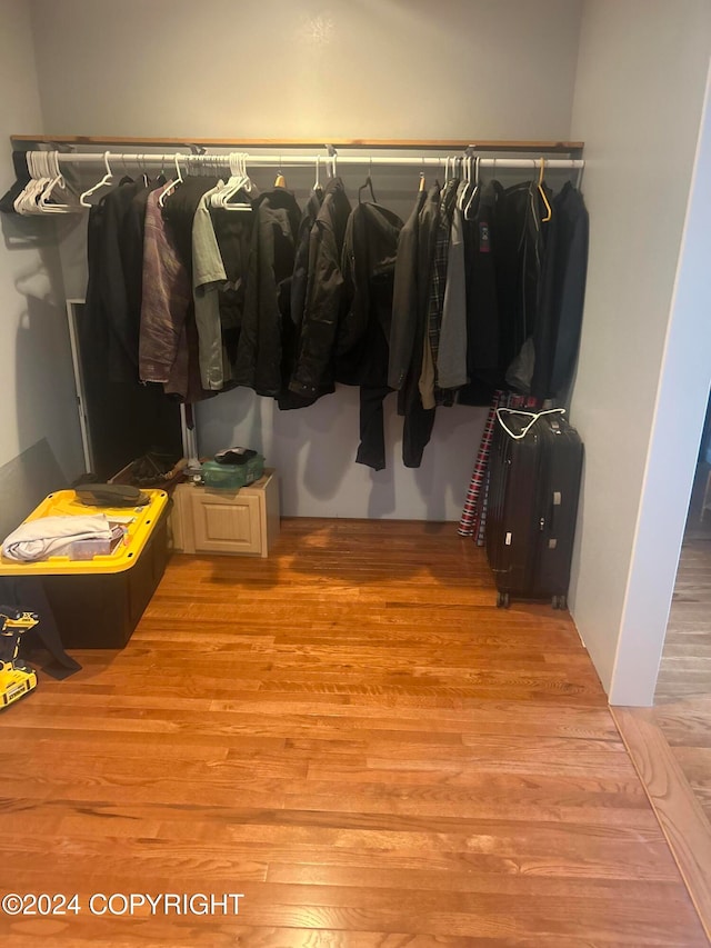 walk in closet with light wood-type flooring