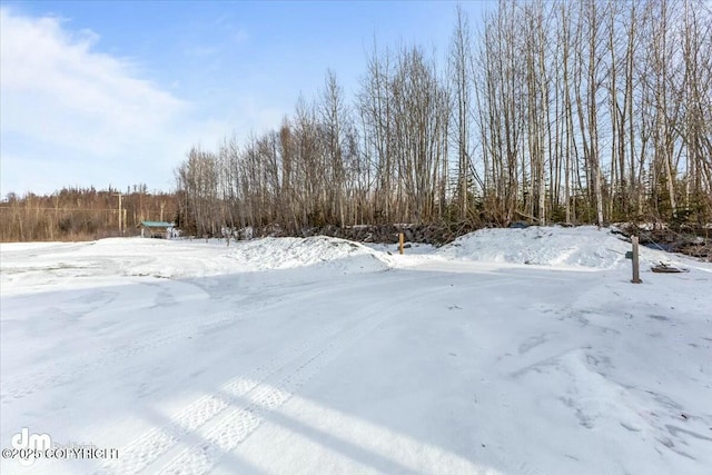 view of snowy yard