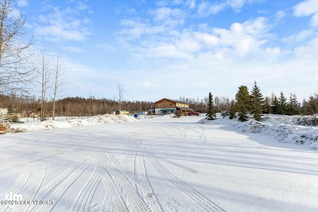 view of yard layered in snow