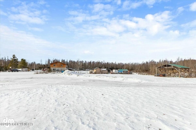 view of yard covered in snow