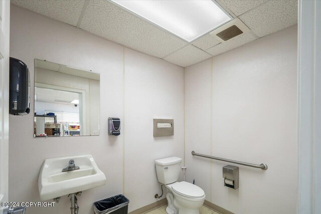 bathroom featuring a drop ceiling, sink, and toilet