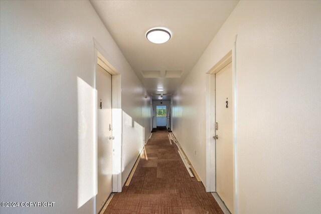 3462 S Big Lake Rd, Big Lake, AK 99623 - hallway with carpet floors and baseboards