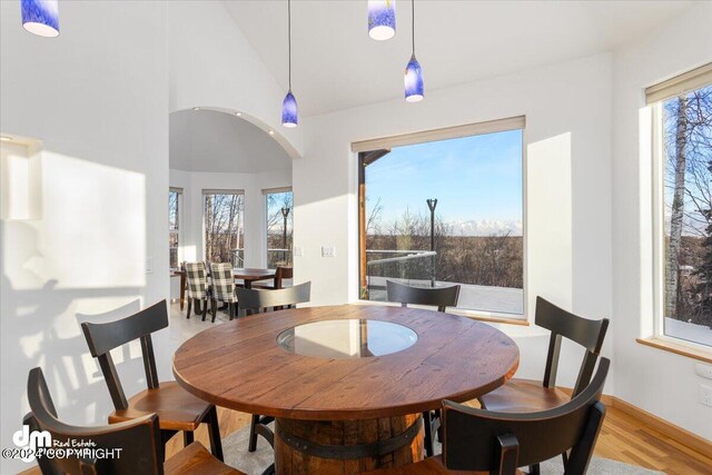 dining space with a healthy amount of sunlight, light hardwood / wood-style floors, and high vaulted ceiling