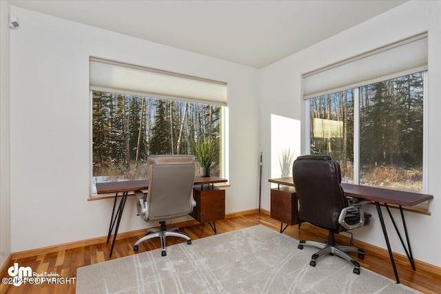 office space with hardwood / wood-style floors and a healthy amount of sunlight