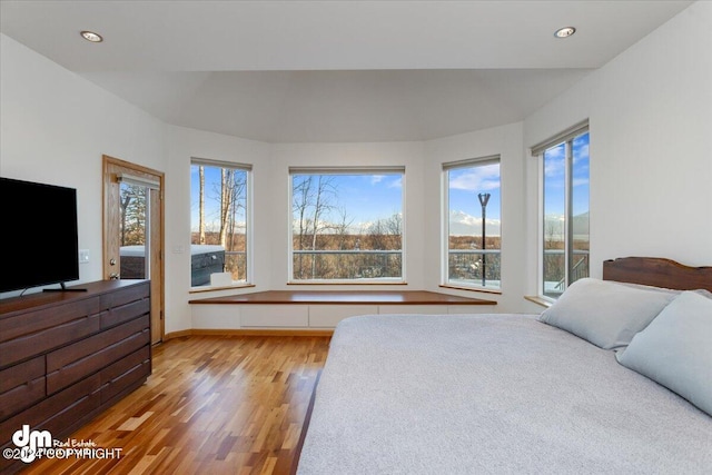 bedroom featuring light wood-type flooring