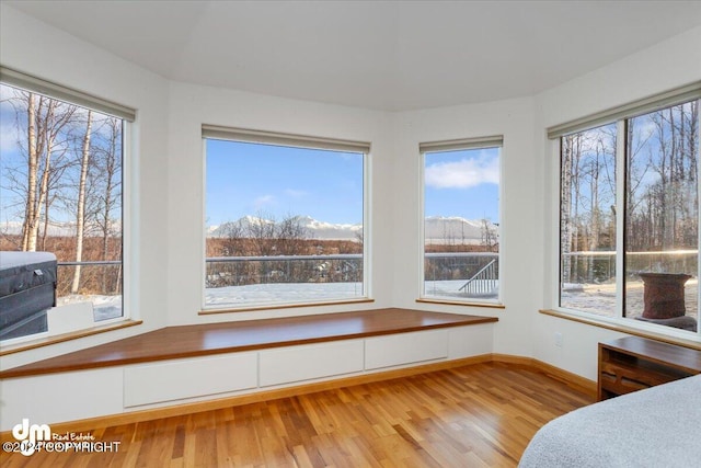 sunroom with plenty of natural light