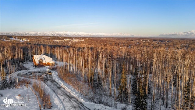 snowy aerial view featuring a mountain view