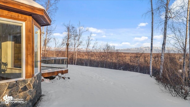 view of yard covered in snow