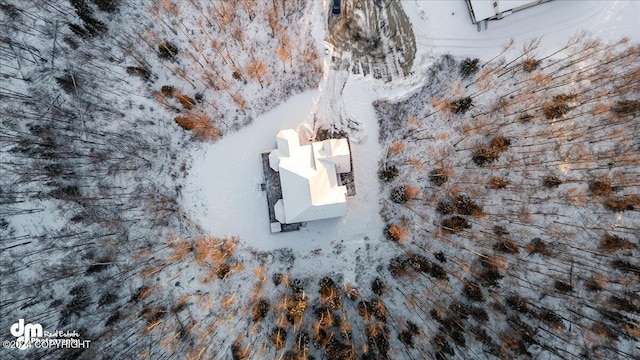 view of snowy aerial view