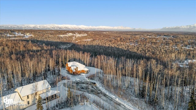 snowy aerial view with a mountain view