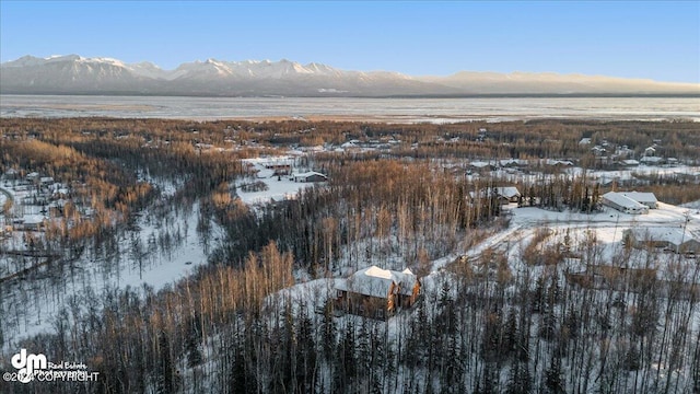 snowy aerial view featuring a mountain view