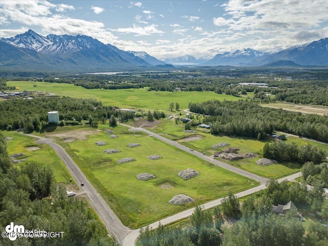 11913 E Fig Cir, Palmer, AK 99645