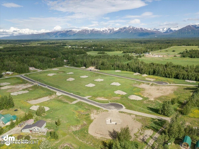11913 E Fig Cir, Palmer, AK 99645