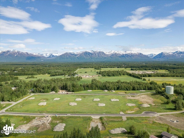 11913 E Fig Cir, Palmer, AK 99645