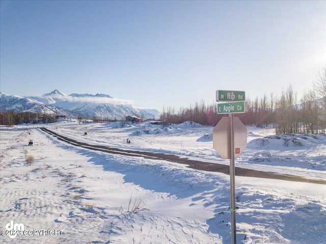 11913 E Fig Cir, Palmer, AK 99645