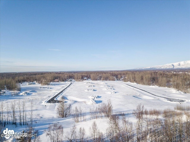 11913 E Fig Cir, Palmer, AK 99645