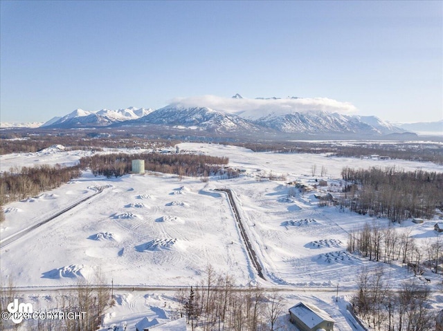 11913 E Fig Cir, Palmer, AK 99645