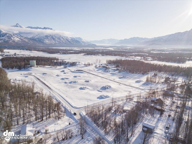 11913 E Fig Cir, Palmer, AK 99645