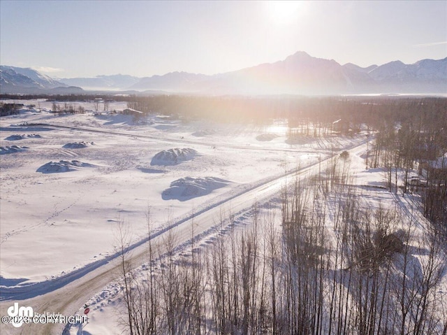 11913 E Fig Cir, Palmer, AK 99645