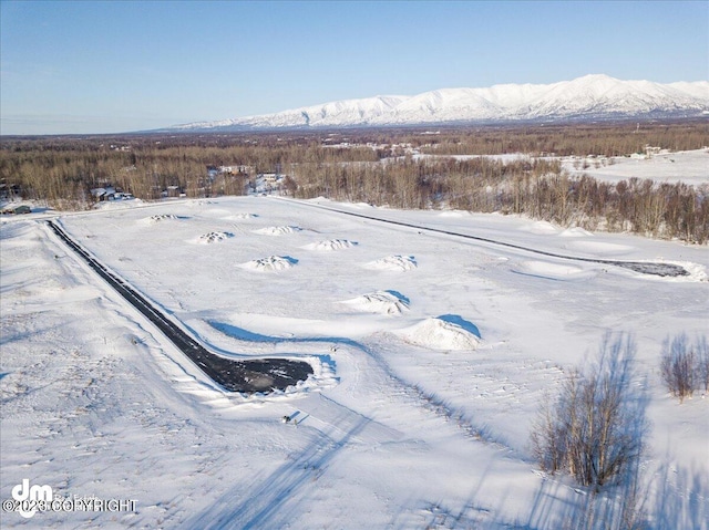 11913 E Fig Cir, Palmer, AK 99645