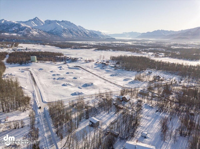 11913 E Fig Cir, Palmer, AK 99645