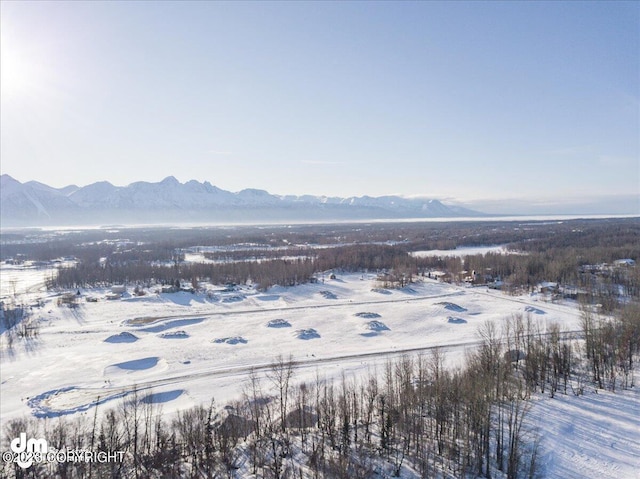 11913 E Fig Cir, Palmer, AK 99645