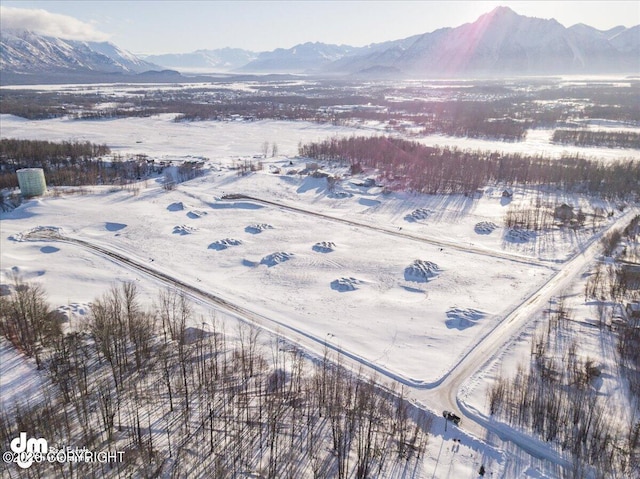 11913 E Fig Cir, Palmer, AK 99645