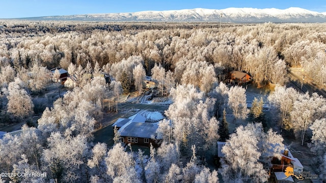 birds eye view of property with a mountain view