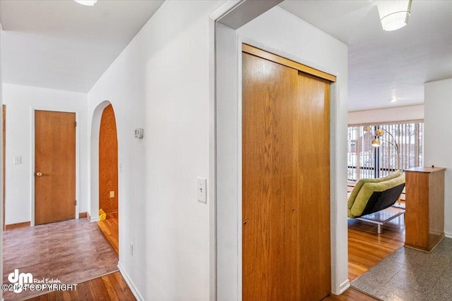 corridor featuring wood-type flooring