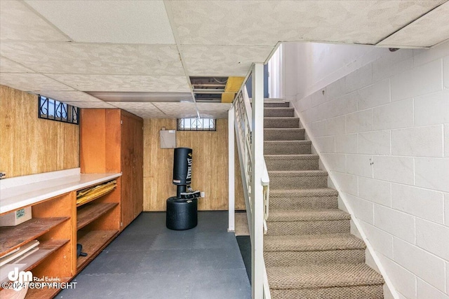 basement with wooden walls