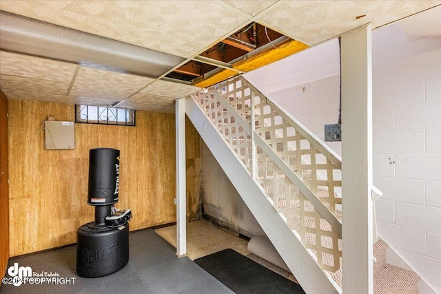 basement with wood walls