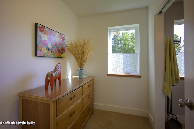 4760 Craftsman Rd, Homer, AK 99603 - detailed view of baseboards and carpet floors