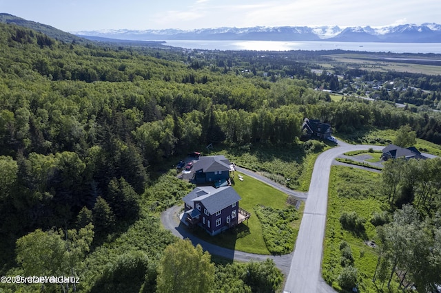 4760 Craftsman Rd, Homer, AK 99603 - drone / aerial view of a forest and a mountain backdrop