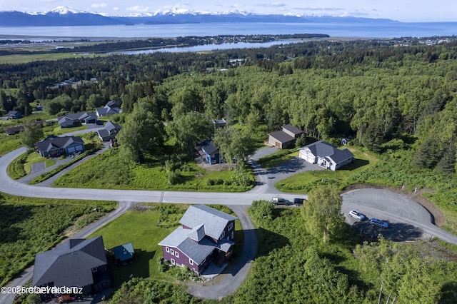 4760 Craftsman Rd, Homer, AK 99603 - aerial overview of property's location with a forest, a water and mountain view, and nearby suburban area