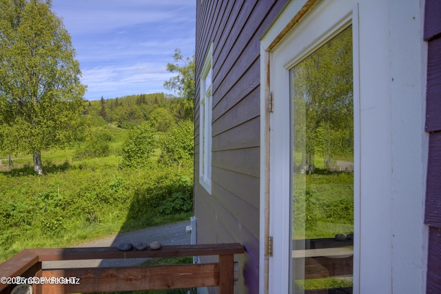4760 Craftsman Rd, Homer, AK 99603 - exterior view of a heavily wooded area