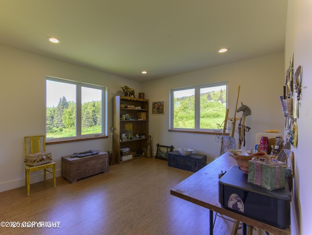 4760 Craftsman Rd, Homer, AK 99603 - office space featuring recessed lighting and wood finished floors