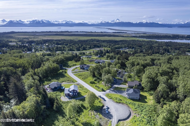 4760 Craftsman Rd, Homer, AK 99603 - aerial view of property's location featuring a forest and a water and mountain view