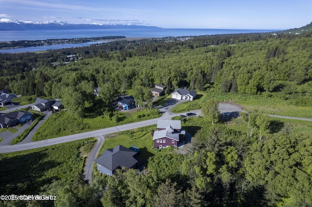 4760 Craftsman Rd, Homer, AK 99603 - aerial overview of property's location with a forest, a nearby body of water, and nearby suburban area