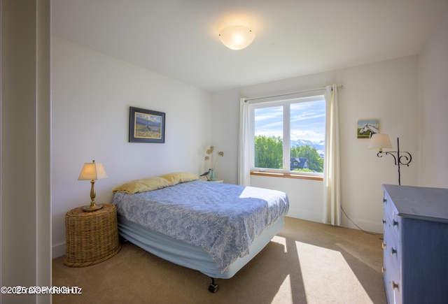 4760 Craftsman Rd, Homer, AK 99603 - bedroom featuring light colored carpet