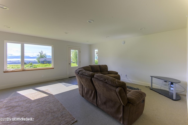 4760 Craftsman Rd, Homer, AK 99603 - living area with carpet, baseboards, and recessed lighting