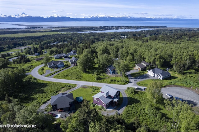 4760 Craftsman Rd, Homer, AK 99603 - aerial overview of property's location with a forest and a water and mountain view
